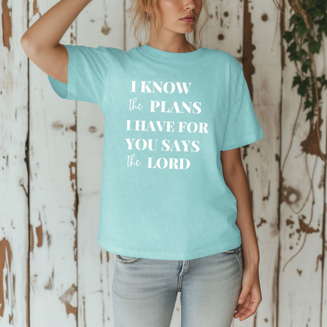 I Know the Plans; Comfort Colors t-shirt