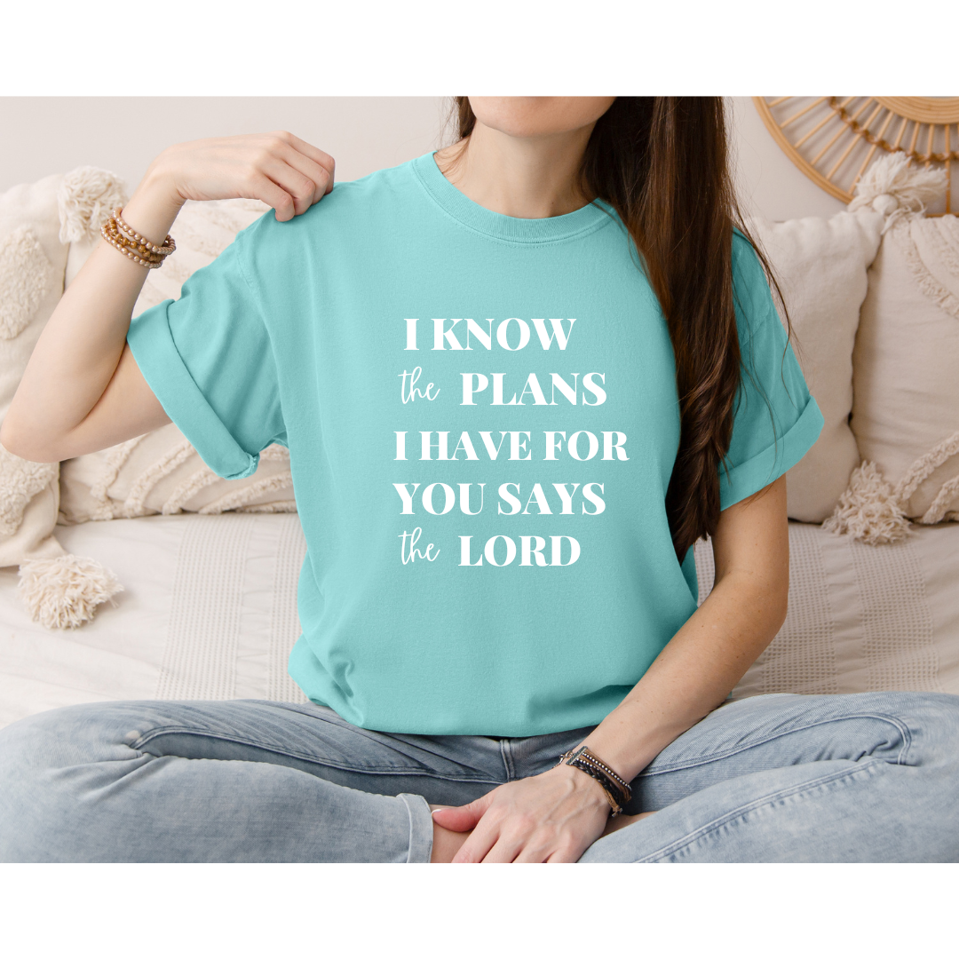 I Know the Plans; Comfort Colors t-shirt