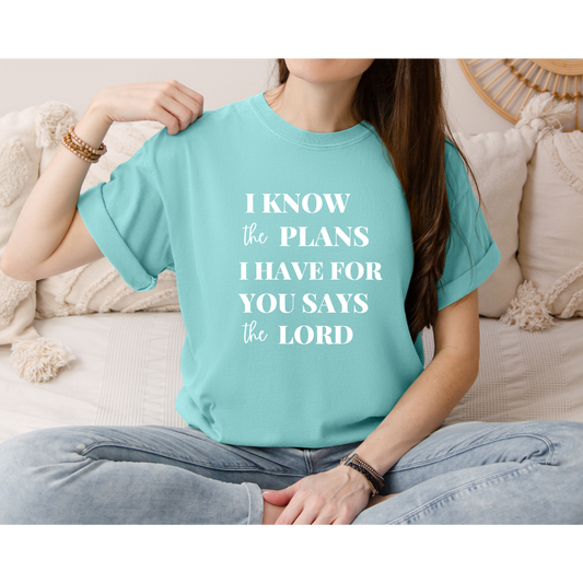 I Know the Plans; Comfort Colors t-shirt