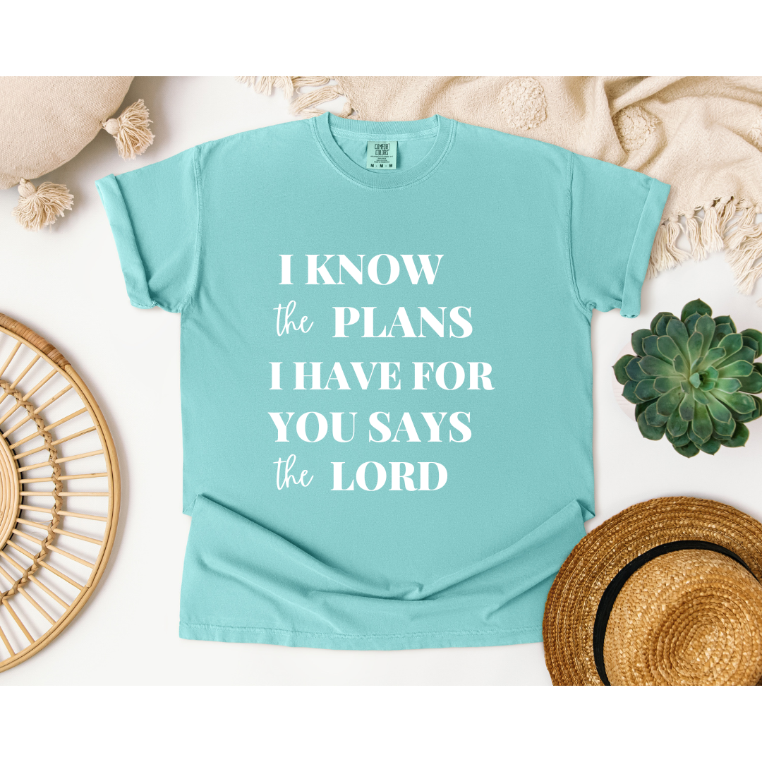I Know the Plans; Comfort Colors t-shirt