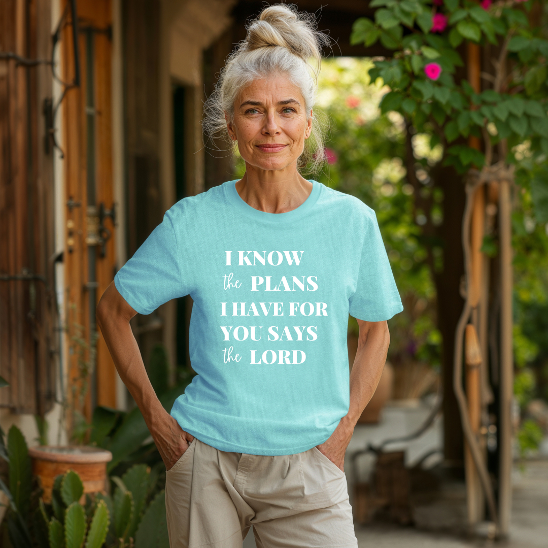 I Know the Plans; Comfort Colors t-shirt
